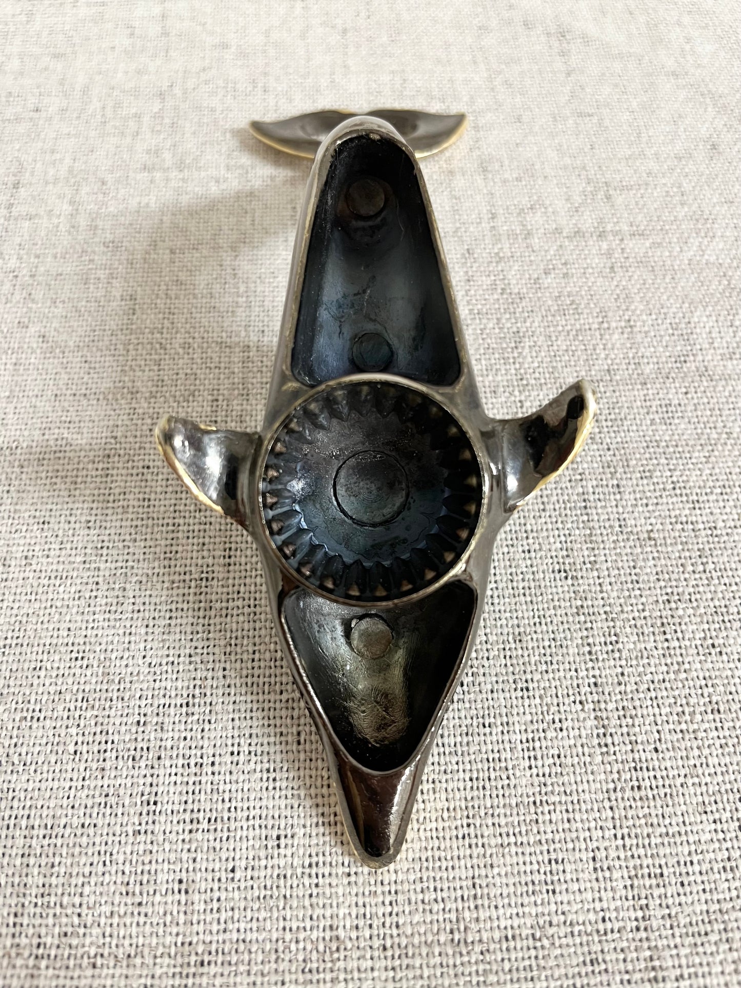 Dolphin bottle opener